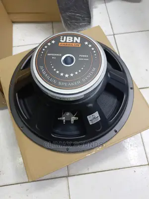 JBN 15 Inch Speaker