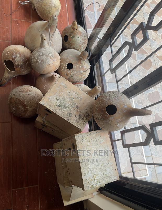 Birds Nestboxes - thumbnail 4