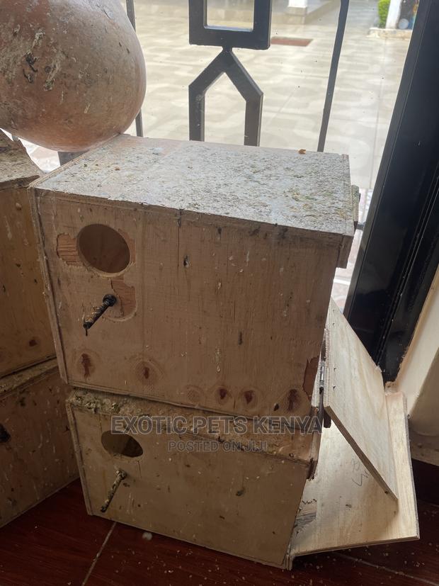 Birds Nestboxes - thumbnail 3