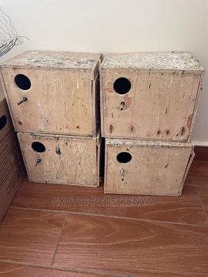 Birds Nestboxes - thumbnail 2