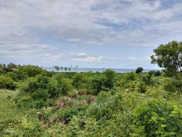 10 Acres Undeveloped Beach Front Property. - thumbnail 9