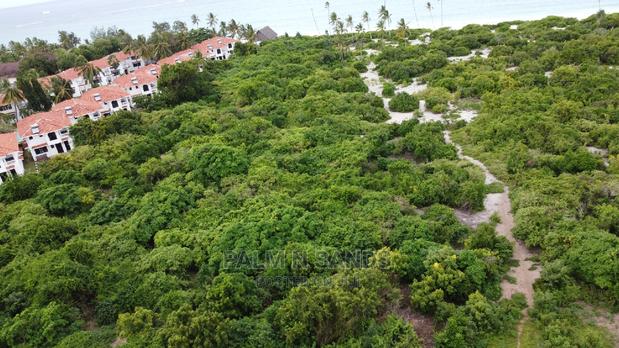 10 Acres Undeveloped Beach Front Property. - thumbnail 4