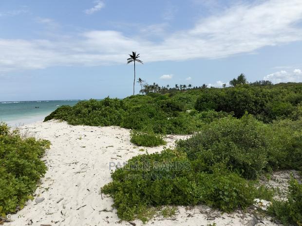 10 Acres Undeveloped Beach Front Property. - thumbnail 6