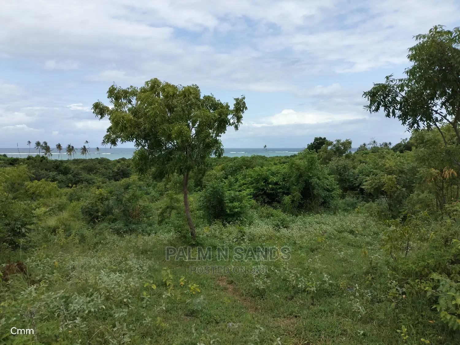 10 Acres Undeveloped Beach Front Property.