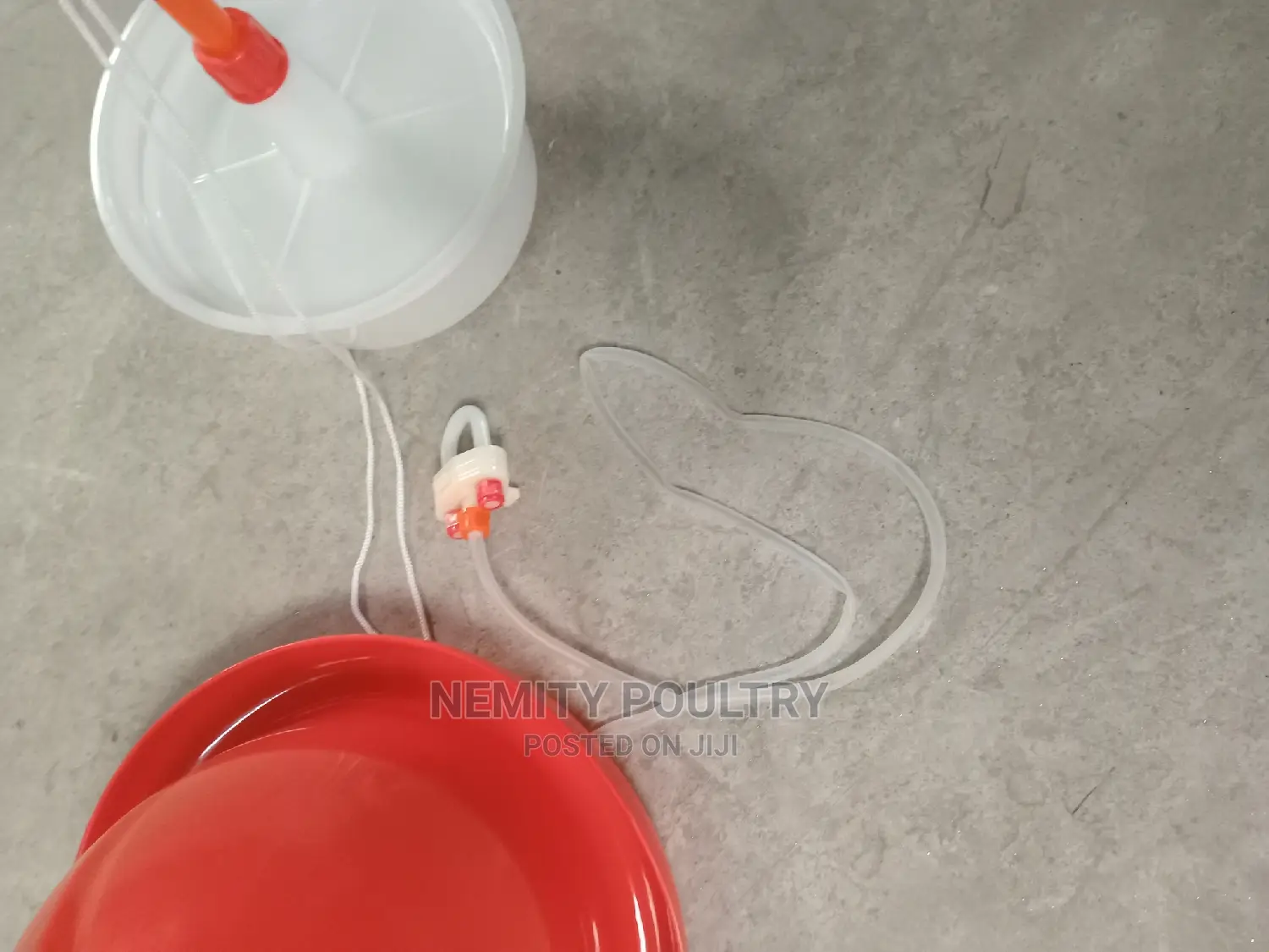 Automatic Bell Drinkers