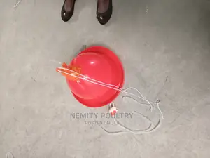 Automatic Bell Drinkers