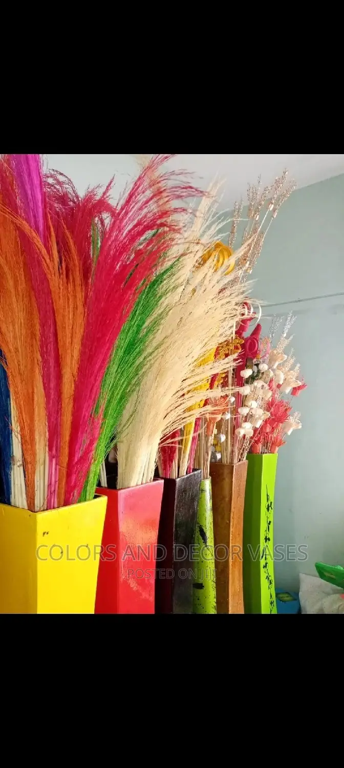 Grass Pampas 1m Colored