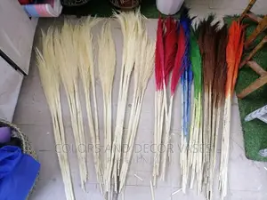 Grass Colored Pampas 1m