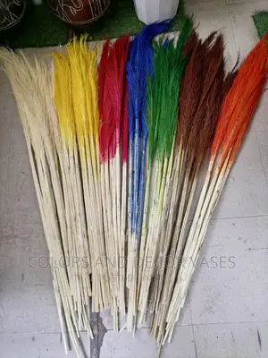 Grass Coloured Pampas