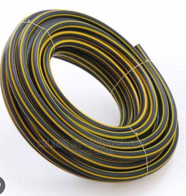 Zebra Pipes - main view