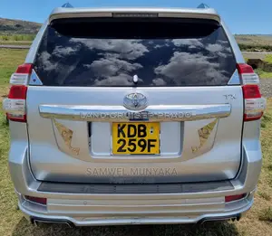Toyota Land Cruiser Prado 3.0 D-4D (190 Hp) 7 seats 2015 Silver