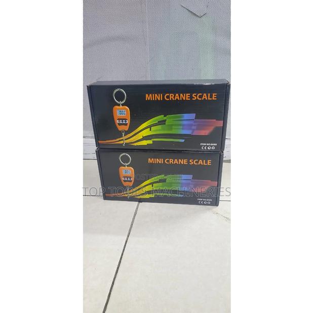 300kg Crane Scale - main view