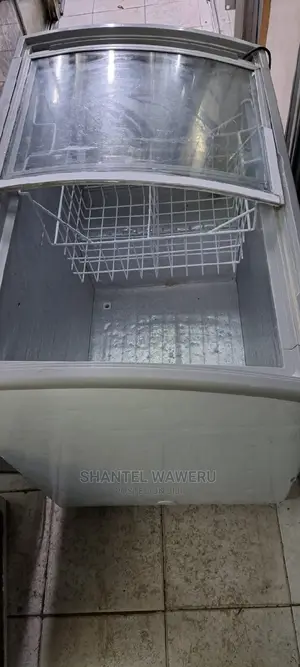 Deep Freezer Display