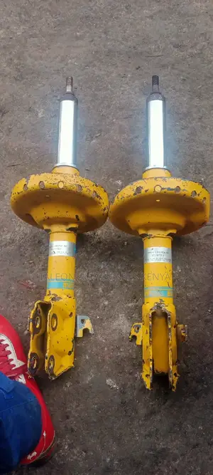 Sh5 Blistain Shocks