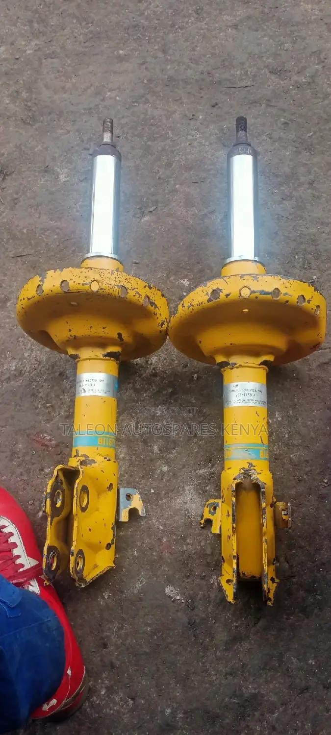 Sh5 Blistain Shocks