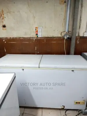 Double Door Deep Freezer
