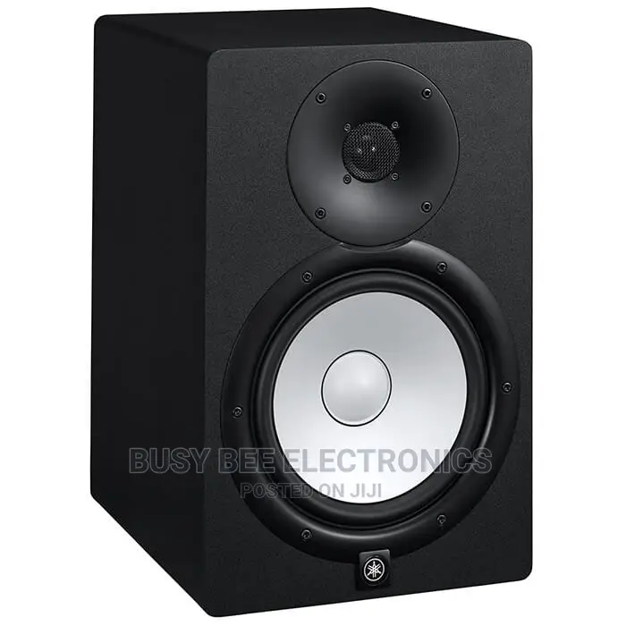 8" Hs 8 Monitor