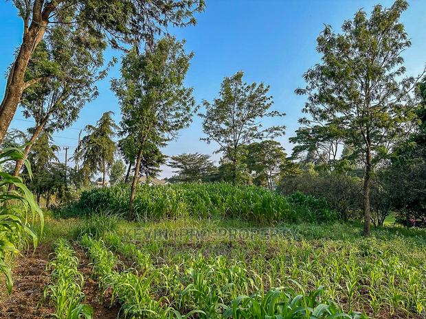 Half Acre Land on Tarmac in Limuru. - thumbnail 7