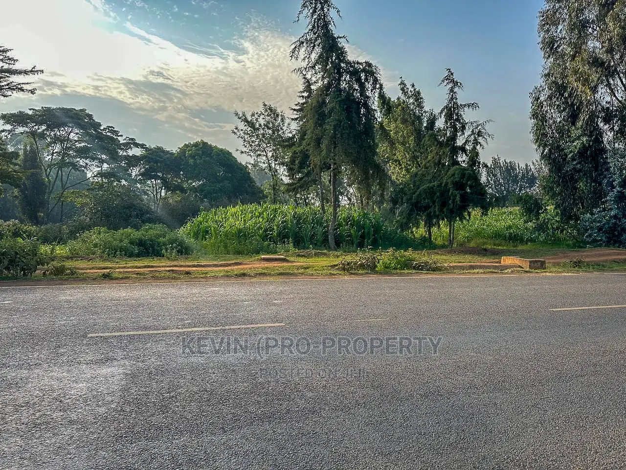 Half Acre Land on Tarmac in Limuru.