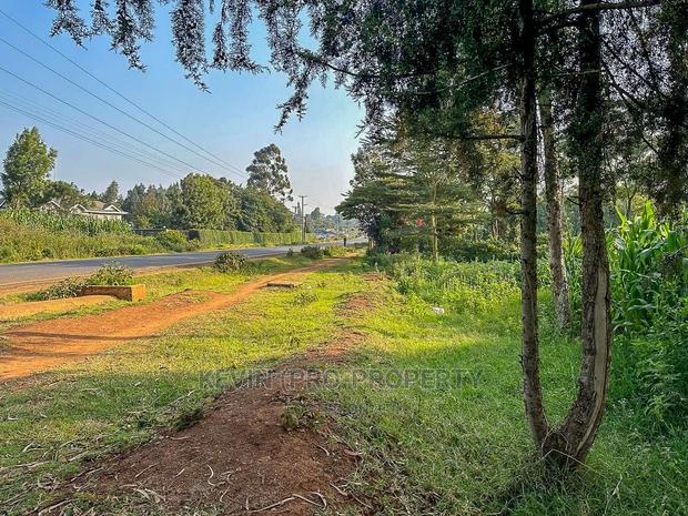 Half Acre Land on Tarmac in Limuru. - thumbnail 9