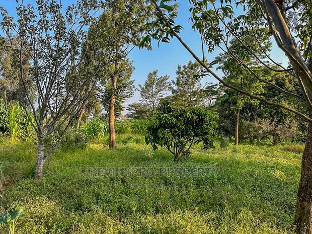 Half Acre Land on Tarmac in Limuru. - thumbnail 10