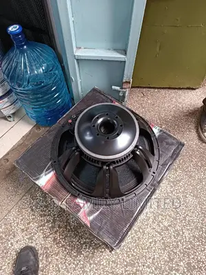 New Retone 1200 Watts Bass Naked Speaker