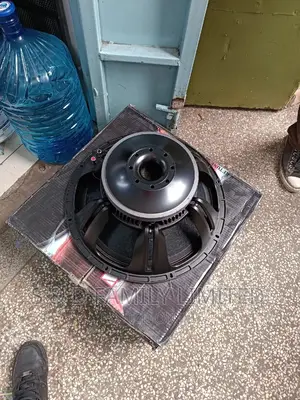New Retone 1200 Watts Bass Naked Speaker