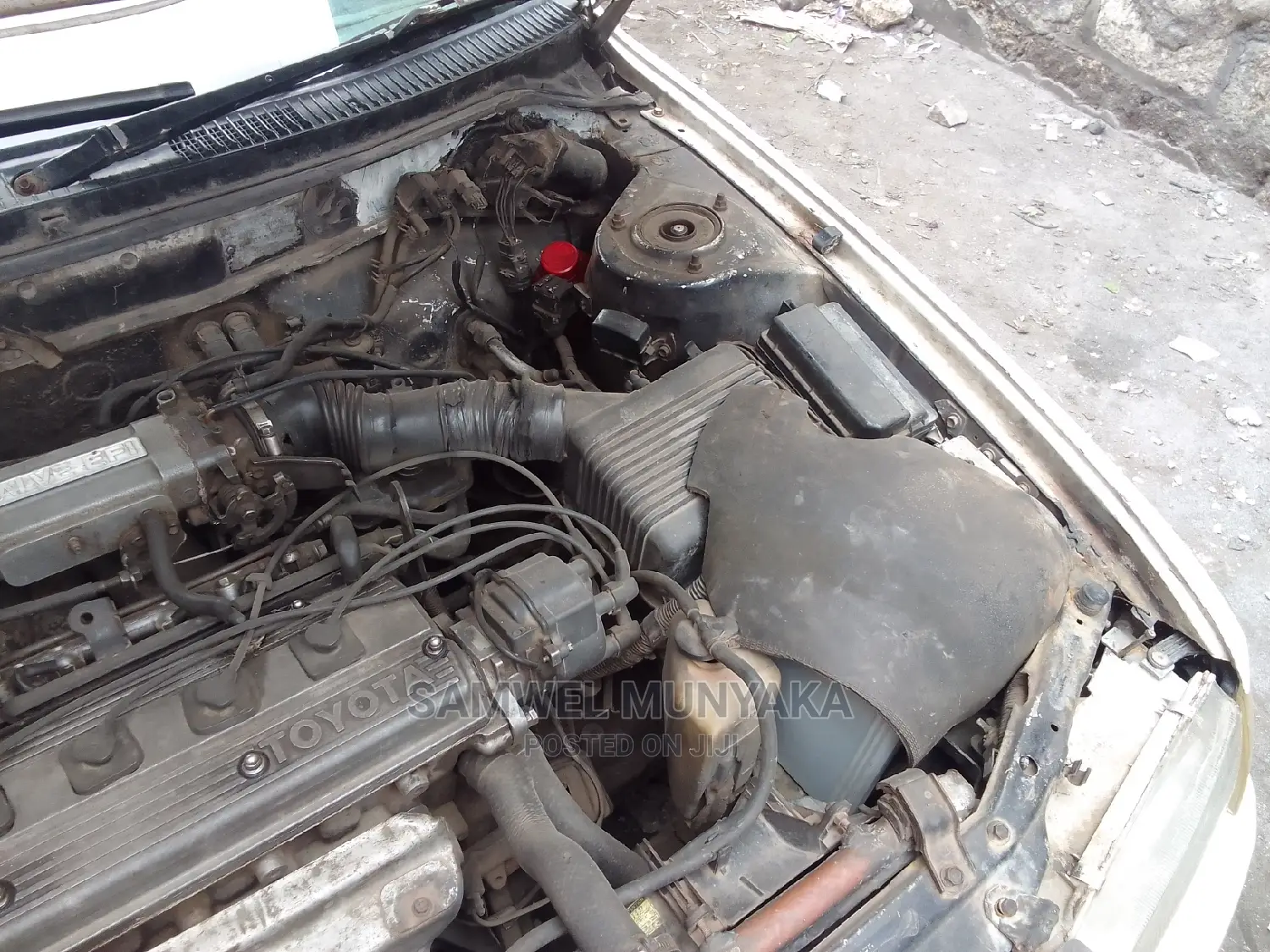 Toyota Corolla 2000 White