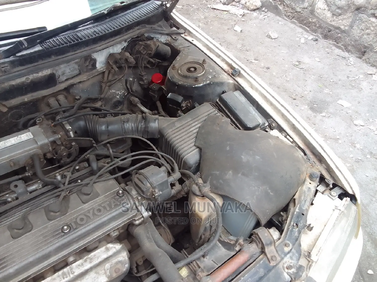 Toyota Corolla 2000 White