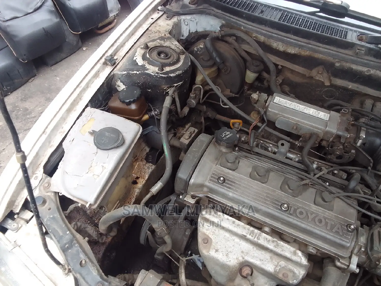 Toyota Corolla 2000 White