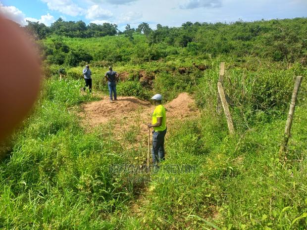 Kombewa Seme - thumbnail 3