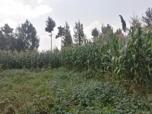 100x100 0.1ha Prime Residential Plot for Sale Kikuyu Ondiri