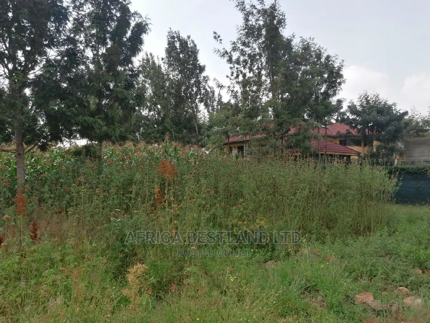100x100 0.1ha Prime Residential Plot for Sale Kikuyu Ondiri