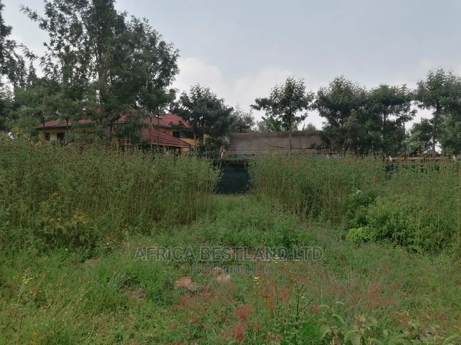 100x100 0.1ha Prime Residential Plot for Sale Kikuyu Ondiri