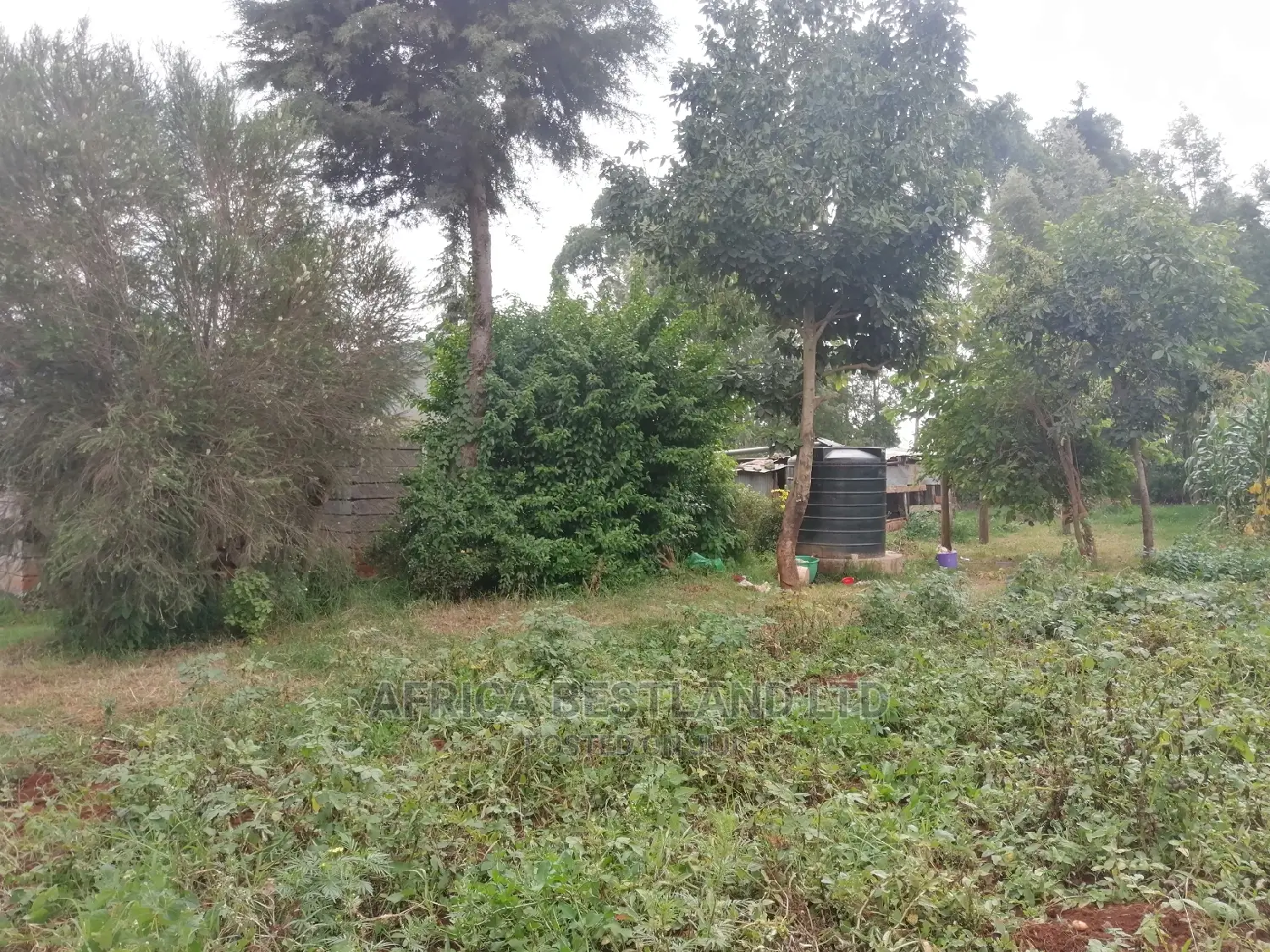 100x100 0.1ha Prime Residential Plot for Sale Kikuyu Ondiri