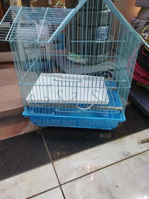 Small Birds Cages , Blue , Parot and Birdgies Cage - main view