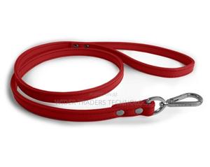 Dog Collars Harnesses $Leashes - thumbnail 2