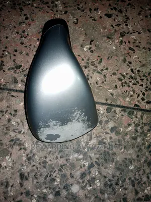 Nissan Dualis Wing Mirror.