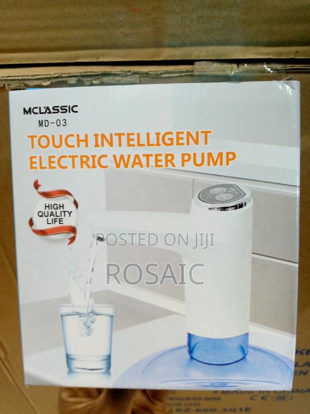 Executive Electric Water Pump - main view