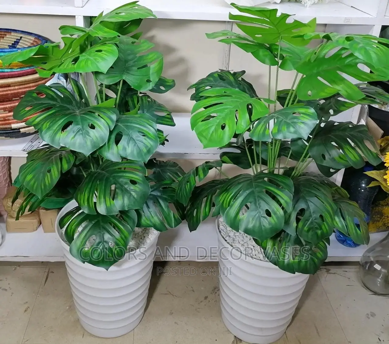 1m Monstera Plastic Vase