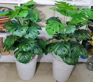 1m Monstera Plastic Vase