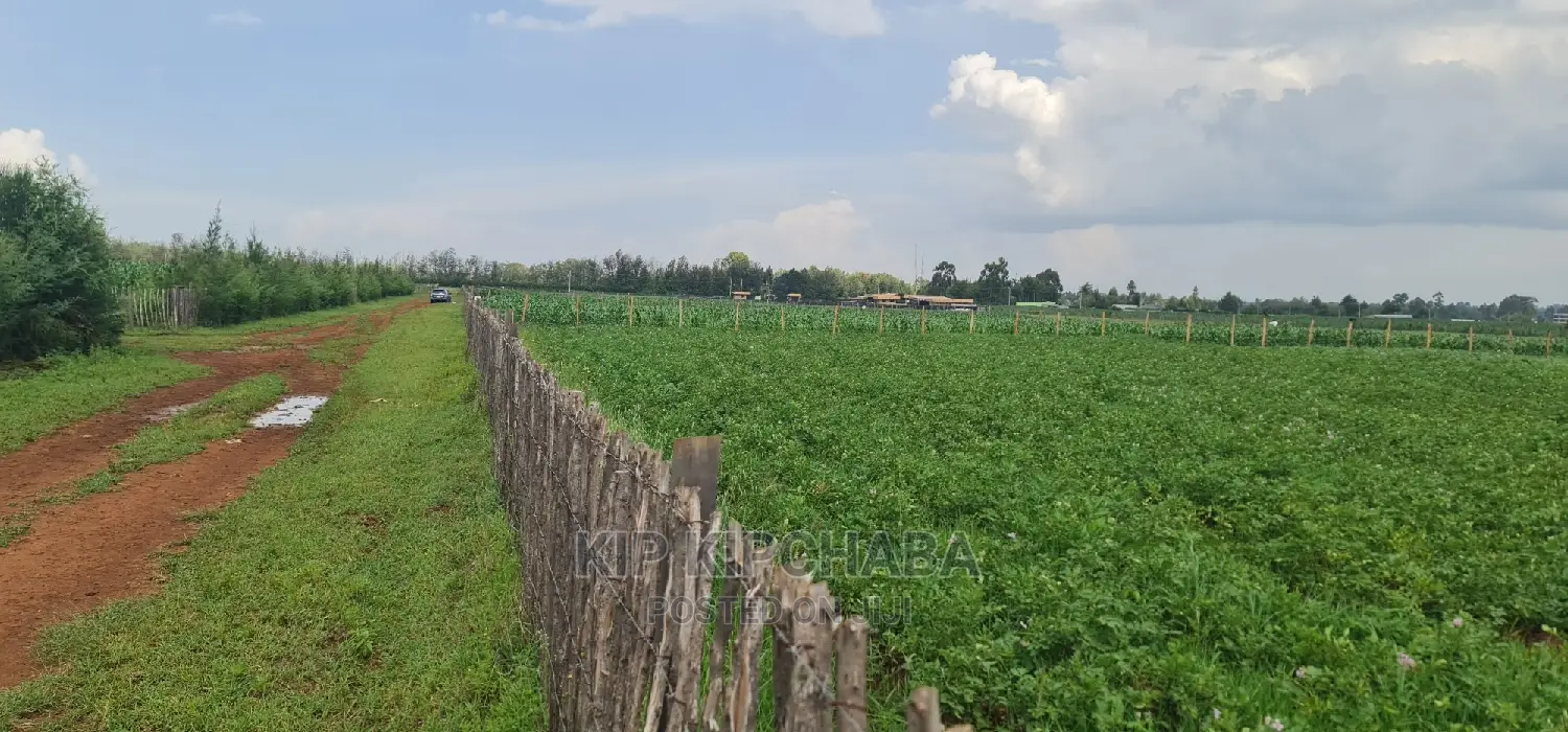 Prime 1 Acre Land for Sale in Kimumu Marura in Eldoret