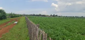 Prime 1 Acre Land for Sale in Kimumu Marura in Eldoret