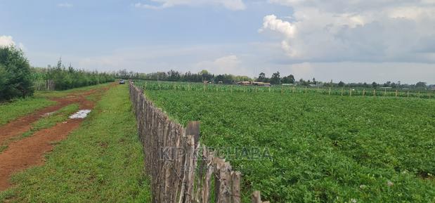 Prime 1 Acre Land for Sale in Kimumu Marura in Eldoret
