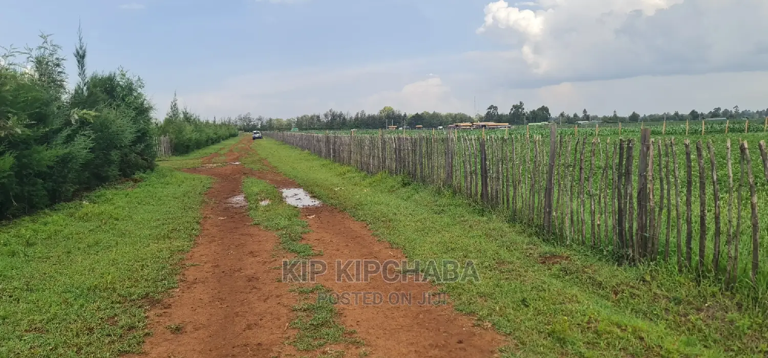 Prime 1 Acre Land for Sale in Kimumu Marura in Eldoret