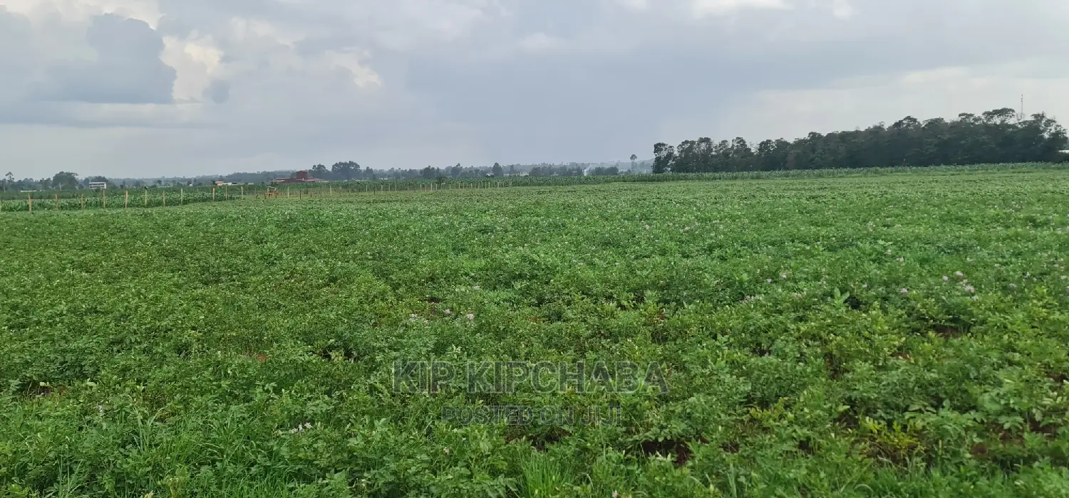 Prime 1 Acre Land for Sale in Kimumu Marura in Eldoret