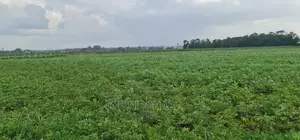 Prime 1 Acre Land for Sale in Kimumu Marura in Eldoret