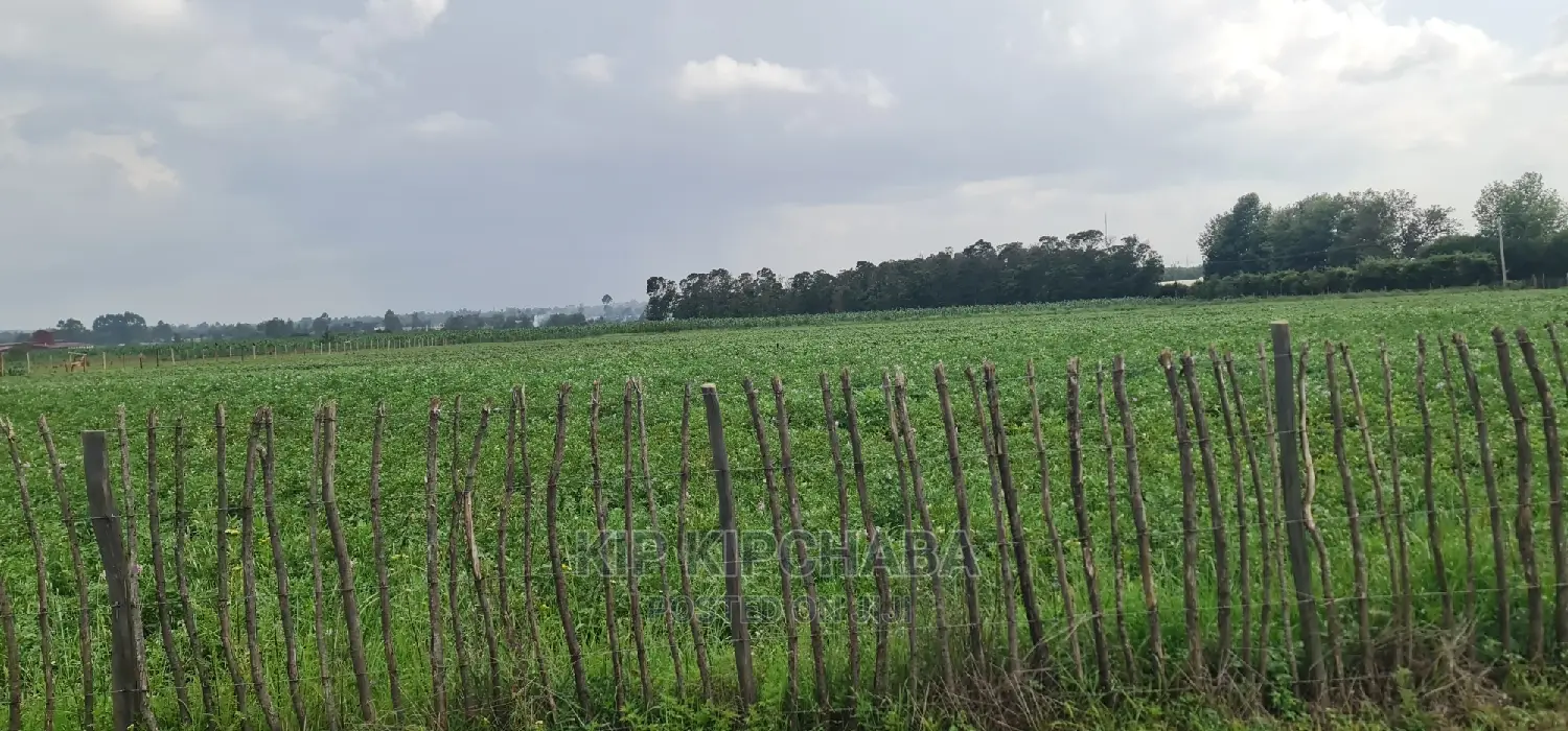 Prime 1 Acre Land for Sale in Kimumu Marura in Eldoret
