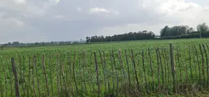 Prime 1 Acre Land for Sale in Kimumu Marura in Eldoret