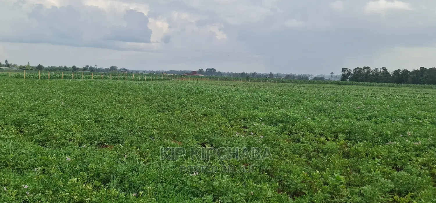 Prime 1 Acre Land for Sale in Kimumu Marura in Eldoret